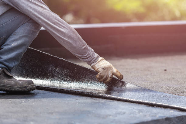 Professional Interior Drainage System technician working in Hemlock, MI